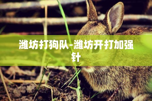 濰坊打狗隊-濰坊開打加強針