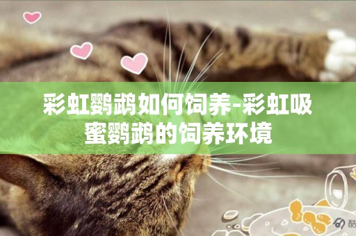 彩虹鸚鵡如何飼養-彩虹吸蜜鸚鵡的飼養環境