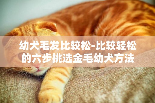 幼犬毛發比較松-比較輕松的六步挑選金毛幼犬方法
