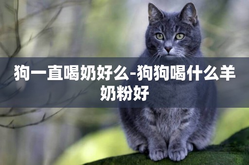 狗一直喝奶好么-狗狗喝什么羊奶粉好