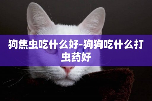 狗焦蟲吃什么好-狗狗吃什么打蟲藥好