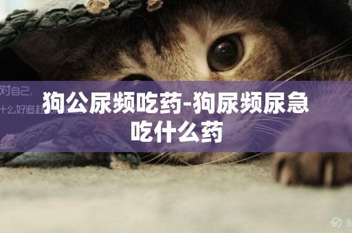 狗公尿頻吃藥-狗尿頻尿急吃什么藥