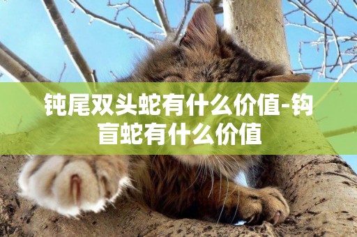 鈍尾雙頭蛇有什么價值-鉤盲蛇有什么價值