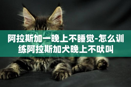 阿拉斯加一晚上不睡覺-怎么訓練阿拉斯加犬晚上不吠叫