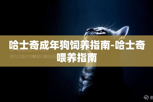 哈士奇成年狗飼養指南-哈士奇喂養指南