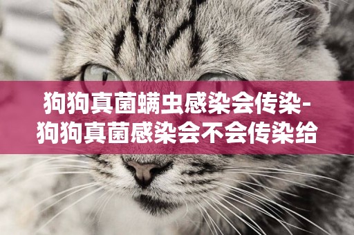 狗狗真菌螨蟲感染會傳染-狗狗真菌感染會不會傳染給人