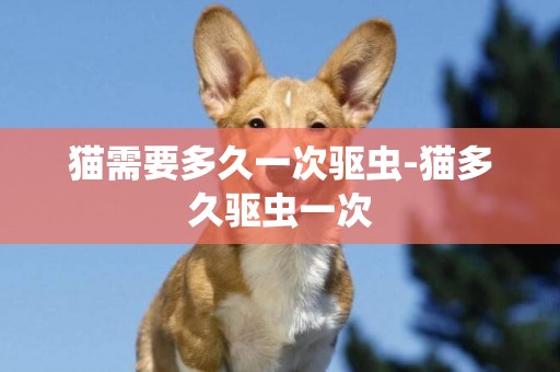 貓需要多久一次驅蟲-貓多久驅蟲一次