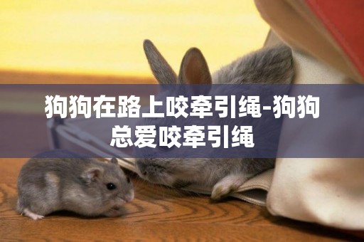 狗狗在路上咬牽引繩-狗狗總愛咬牽引繩