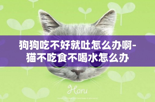 狗狗吃不好就吐怎么辦啊-貓不吃食不喝水怎么辦