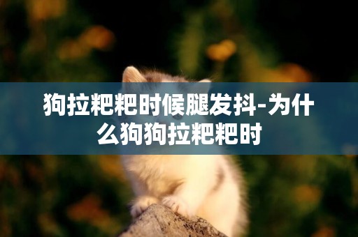 狗拉粑粑時候腿發抖-為什么狗狗拉粑粑時