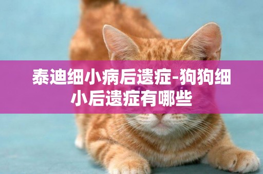 泰迪細小病后遺癥-狗狗細小后遺癥有哪些