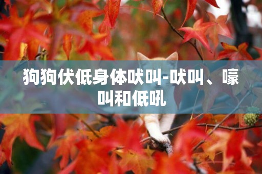 狗狗伏低身體吠叫-吠叫、嚎叫和低吼