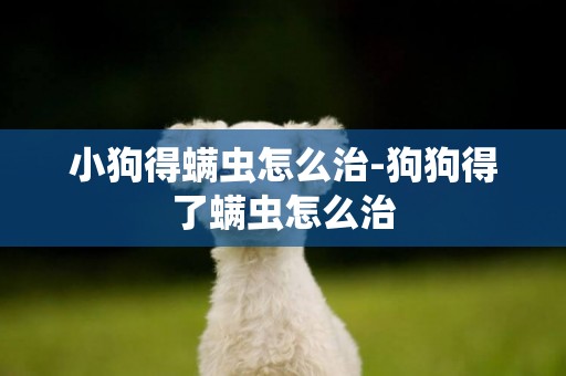 小狗得螨蟲怎么治-狗狗得了螨蟲怎么治