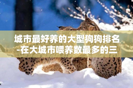 城市最好養的大型狗狗排名-在大城市喂養數最多的三種小型狗