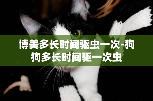博美多長時間驅蟲一次-狗狗多長時間驅一次蟲