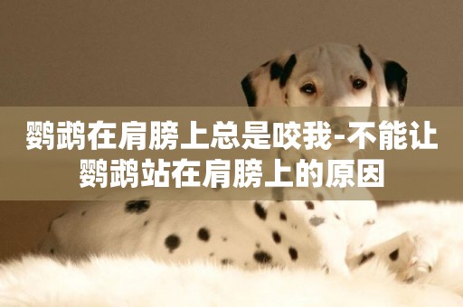 鸚鵡在肩膀上總是咬我-不能讓鸚鵡站在肩膀上的原因