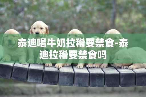 泰迪喝牛奶拉稀要禁食-泰迪拉稀要禁食嗎