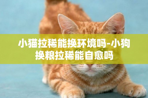小貓拉稀能換環境嗎-小狗換糧拉稀能自愈嗎