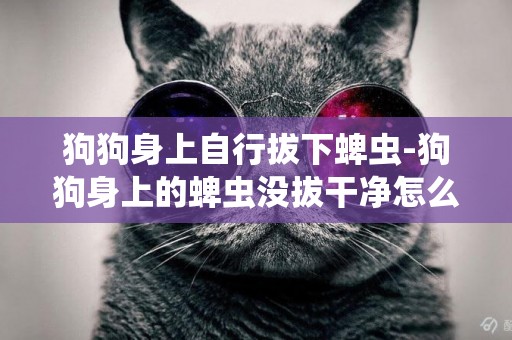 狗狗身上自行拔下蜱蟲-狗狗身上的蜱蟲沒拔干凈怎么辦
