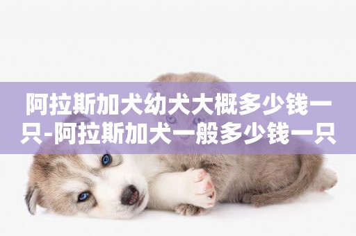 阿拉斯加犬幼犬大概多少錢一只-阿拉斯加犬一般多少錢一只