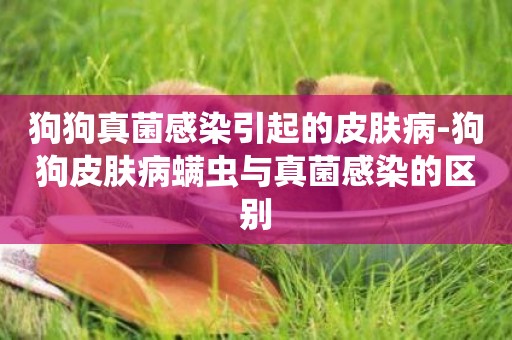 狗狗真菌感染引起的皮膚病-狗狗皮膚病螨蟲與真菌感染的區別