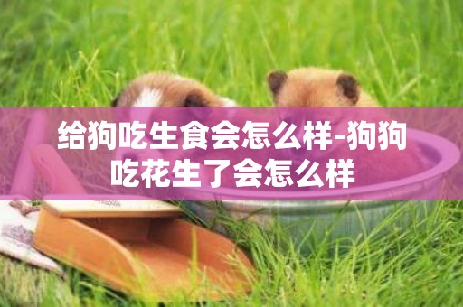 給狗吃生食會怎么樣-狗狗吃花生了會怎么樣