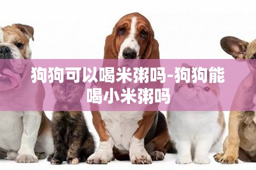 狗狗可以喝米粥嗎-狗狗能喝小米粥嗎
