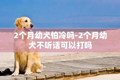 2個月幼犬怕冷嗎-2個月幼犬不聽話可以打嗎