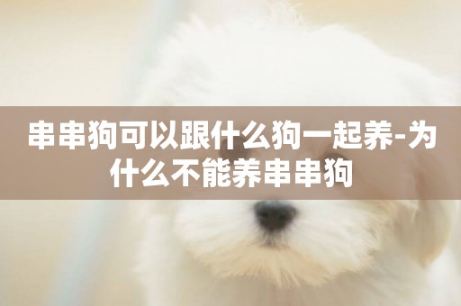 串串狗可以跟什么狗一起養-為什么不能養串串狗
