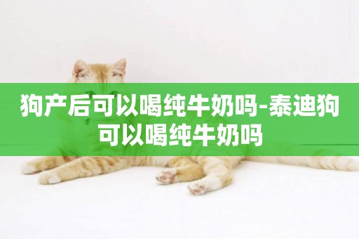 狗產后可以喝純牛奶嗎-泰迪狗可以喝純牛奶嗎
