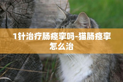 1針治療腸痙攣嗎-貓腸痙攣怎么治