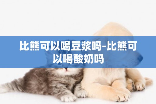比熊可以喝豆漿嗎-比熊可以喝酸奶嗎