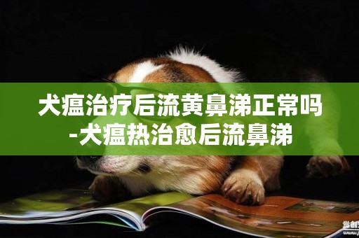 犬瘟治療后流黃鼻涕正常嗎-犬瘟熱治愈后流鼻涕