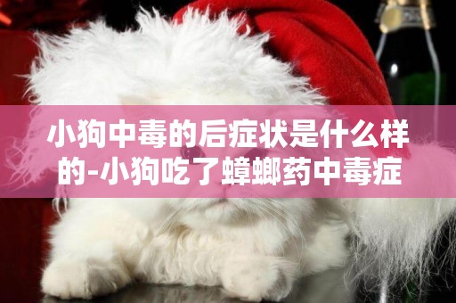 小狗中毒的后癥狀是什么樣的-小狗吃了蟑螂藥中毒癥狀是什么
