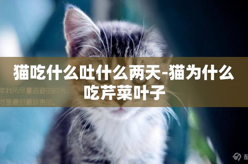 貓吃什么吐什么兩天-貓為什么吃芹菜葉子