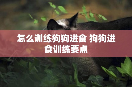怎么訓練狗狗進食 狗狗進食訓練要點