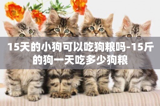 15天的小狗可以吃狗糧嗎-15斤的狗一天吃多少狗糧