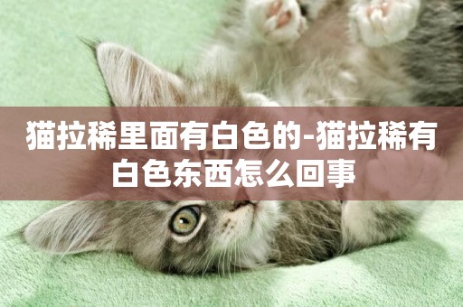 貓拉稀里面有白色的-貓拉稀有白色東西怎么回事