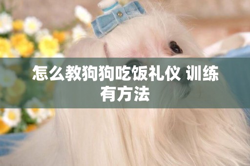 怎么教狗狗吃飯禮儀 訓練有方法