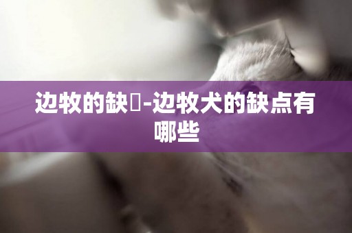 邊牧的缺點-邊牧犬的缺點有哪些