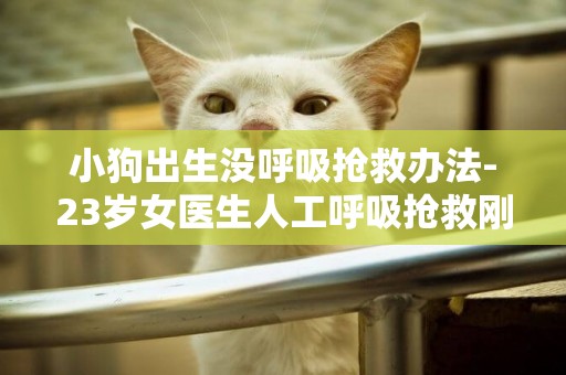 小狗出生沒呼吸搶救辦法-23歲女醫生人工呼吸搶救剛出生的呼吸衰竭的小貓