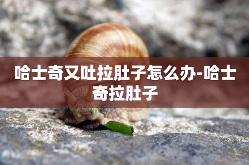 哈士奇又吐拉肚子怎么辦-哈士奇拉肚子
