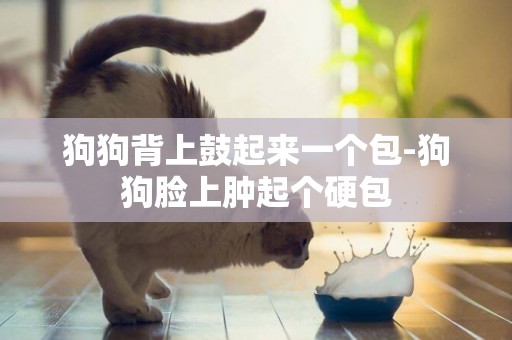 狗狗背上鼓起來一個包-狗狗臉上腫起個硬包