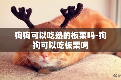 狗狗可以吃熟的板栗嗎-狗狗可以吃板栗嗎