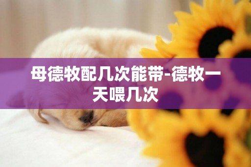 母德牧配幾次能帶-德牧一天喂幾次