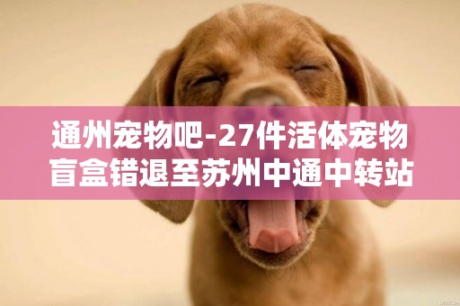通州寵物吧-27件活體寵物盲盒錯退至蘇州中通中轉站