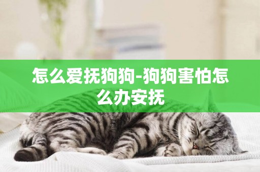 怎么愛撫狗狗-狗狗害怕怎么辦安撫