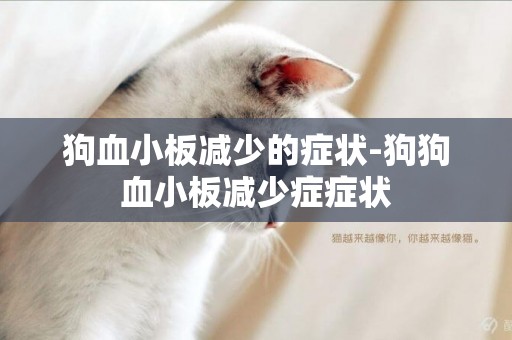 狗血小板減少的癥狀-狗狗血小板減少癥癥狀