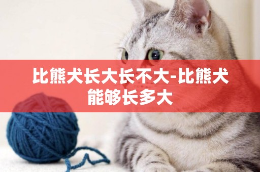 比熊犬長大長不大-比熊犬能夠長多大
