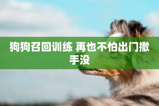 狗狗召回訓練 再也不怕出門撒手沒